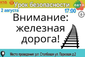Подробнее о статье Урок безопасности «Внимание! Железная дорога» г.о. Чехов